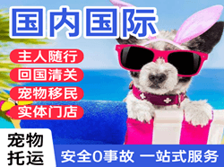腾鳌航空快递国际宠物托运 【国